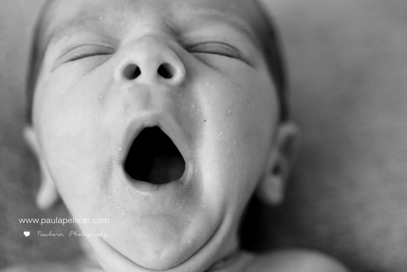 { OLIVER } ··· Newborn -181