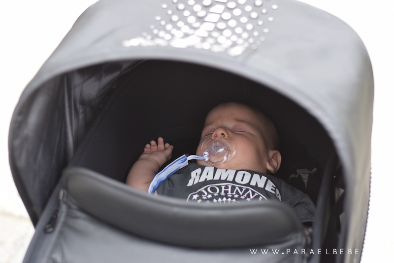DSC_0796